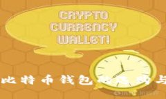 轻量化PC比特币钱包的选购与使用指南
