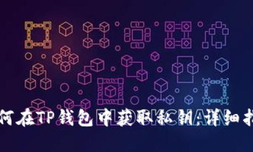 如何在TP钱包中获取私钥：详细指南