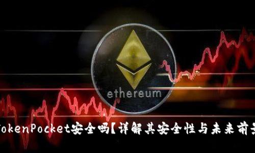 TokenPocket安全吗？详解其安全性与未来前景
