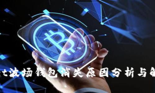 tpwallet波场钱包消失原因分析与解决方案