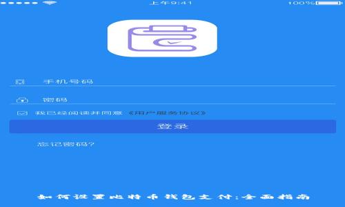 如何设置比特币钱包支付：全面指南