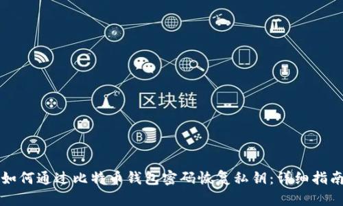 如何通过比特币钱包密码恢复私钥：详细指南