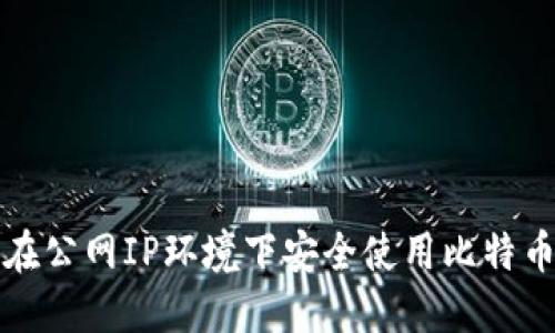 如何在公网IP环境下安全使用比特币钱包