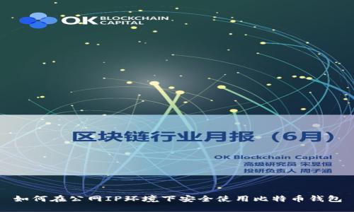 如何在公网IP环境下安全使用比特币钱包