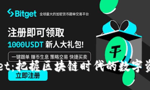 探索TPWallet：把握区块链时代的数字资产管理利器