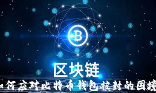 
如何应对比特币钱包被封的困境？