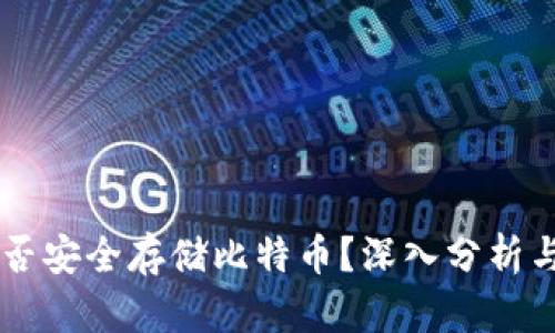 SC钱包能否安全存储比特币？深入分析与使用指南