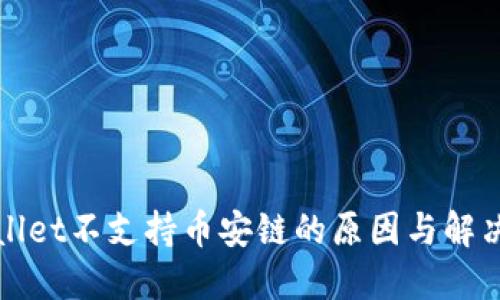 TPWallet不支持币安链的原因与解决方案