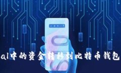 如何将PayPal中的资金转移