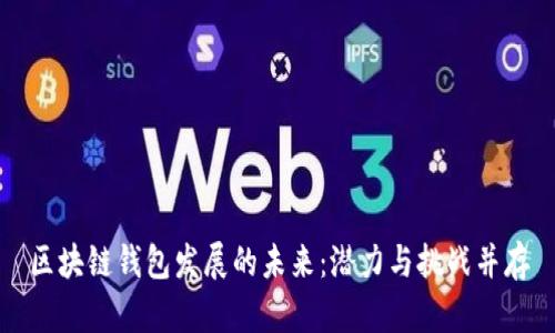区块链钱包发展的未来：潜力与挑战并存