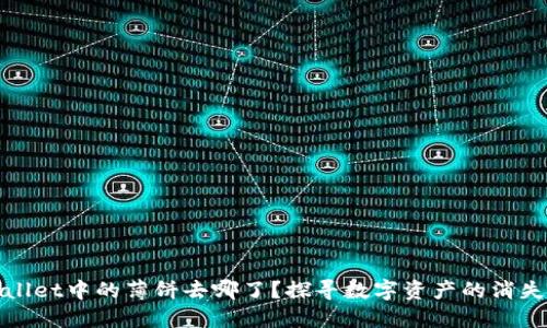 TPWallet中的薄饼去哪了？探寻数字资产的消失之谜