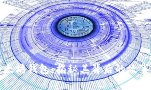 全球最大以太坊钱包：揭秘其背后的故事与发展历程