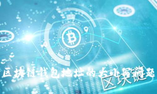 深入探讨区块链钱包地址的大小写问题及其影响