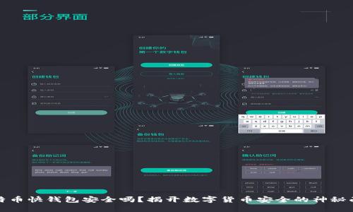 比特币快钱包安全吗？揭开数字货币安全的神秘面纱