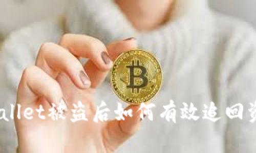 tpwallet被盗后如何有效追回资金？