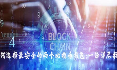 如何选择最安全的两个比特币钱包：一份详尽指南