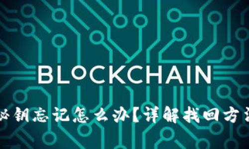 比特币钱包秘钥忘记怎么办？详解找回方法与注意事项