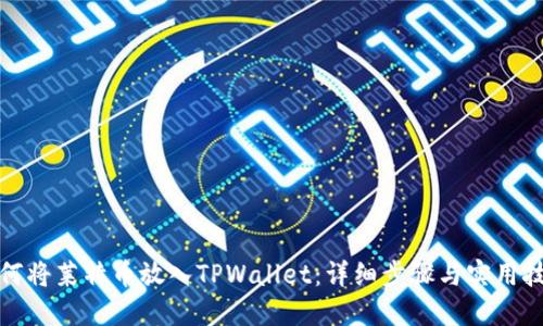 如何将莱特币放入TPWallet：详细步骤与实用技巧