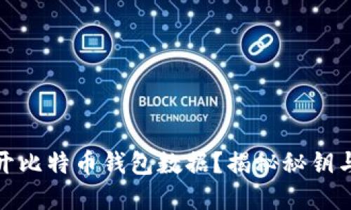 如何安全地打开比特币钱包数据？揭秘秘钥与备份的重要性