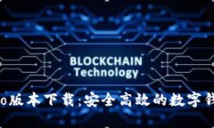 TPWalletPro版本下载：安全高效的数字钱包解决方案