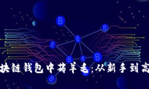 如何在区块链钱包中薅羊毛：从新手到高手的攻略