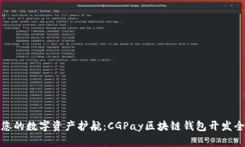 打造您的数字资产护航：CGPay区块链钱包开发全攻略