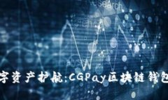 打造您的数字资产护航：CGPay区块链钱包开发全攻