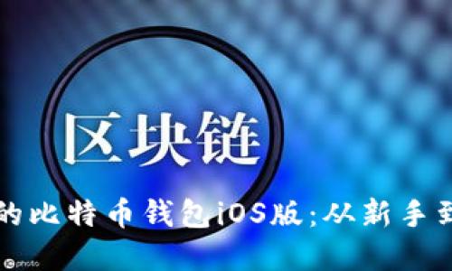 如何选择适合你的比特币钱包iOS版：从新手到高手的完全指南