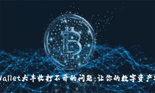 解决TPWallet大丰收打不开的问题：让你的数字资产安全无忧