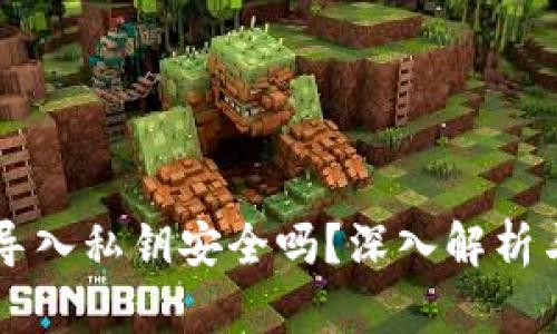 TPWallet导入私钥安全吗？深入解析与实用技巧