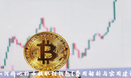 
如何将比特币提取到钱包？费用解析与实用建议