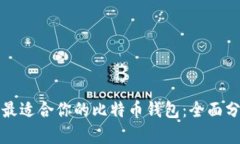 如何选择最适合你的比特币钱包：全面分析与推