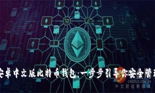 如何下载安卓中文版比特币钱包：一步步引导你安全管理虚拟资产