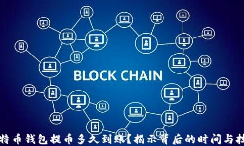 
比特币钱包提币多久到账？揭示背后的时间与技巧