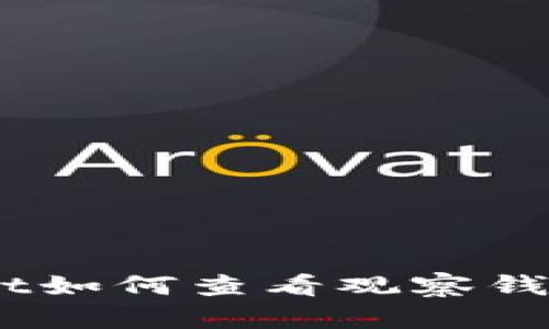 TokenPocket如何查看观察钱包：全面指南