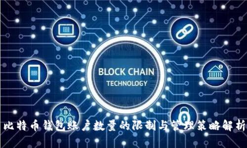 比特币钱包账户数量的限制与管理策略解析