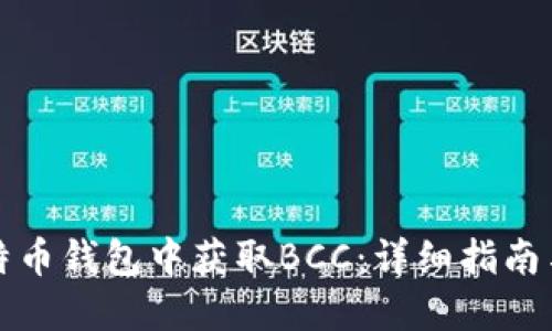 如何在比特币钱包中获取BCC：详细指南与实用技巧