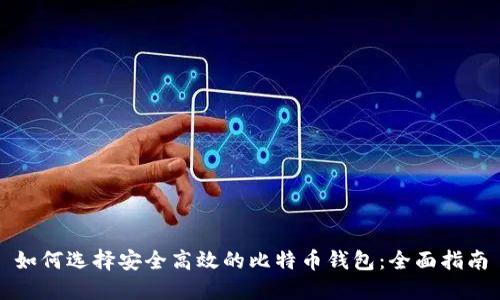 如何选择安全高效的比特币钱包：全面指南