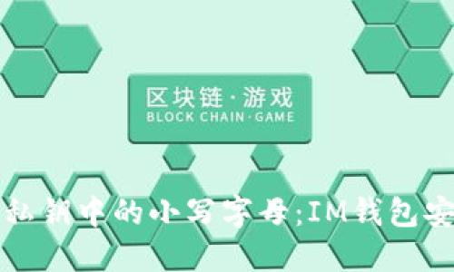 如何处理以太坊私钥中的小写字母：IM钱包安全性与管理指南