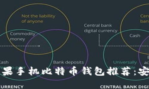 2023年最佳苹果手机比特币钱包推荐：安全、易用的选择