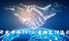 区块链钱包开发中的TXID：重构支付流程的核心参