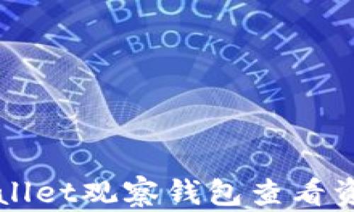 
如何使用TPWallet观察钱包查看资产和交易状态