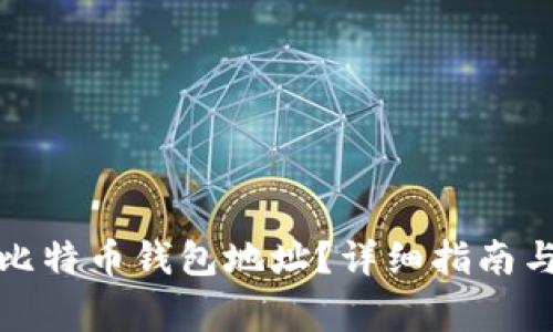 如何快速找到比特币钱包地址？详细指南与常见问题解答