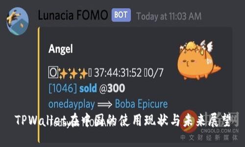 TPWallet在中国的使用现状与未来展望