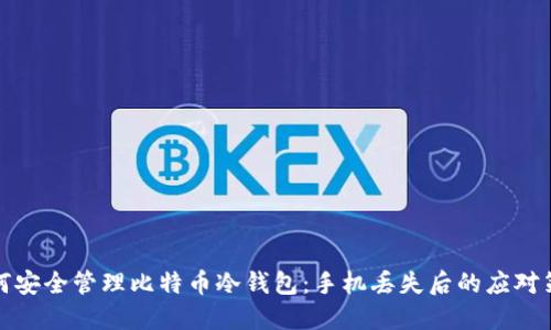 如何安全管理比特币冷钱包：手机丢失后的应对策略