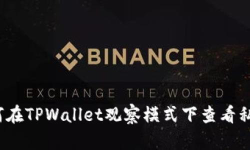 如何在TPWallet观察模式下查看私钥？