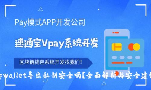 tpwallet导出私钥安全吗？全面解析与安全建议